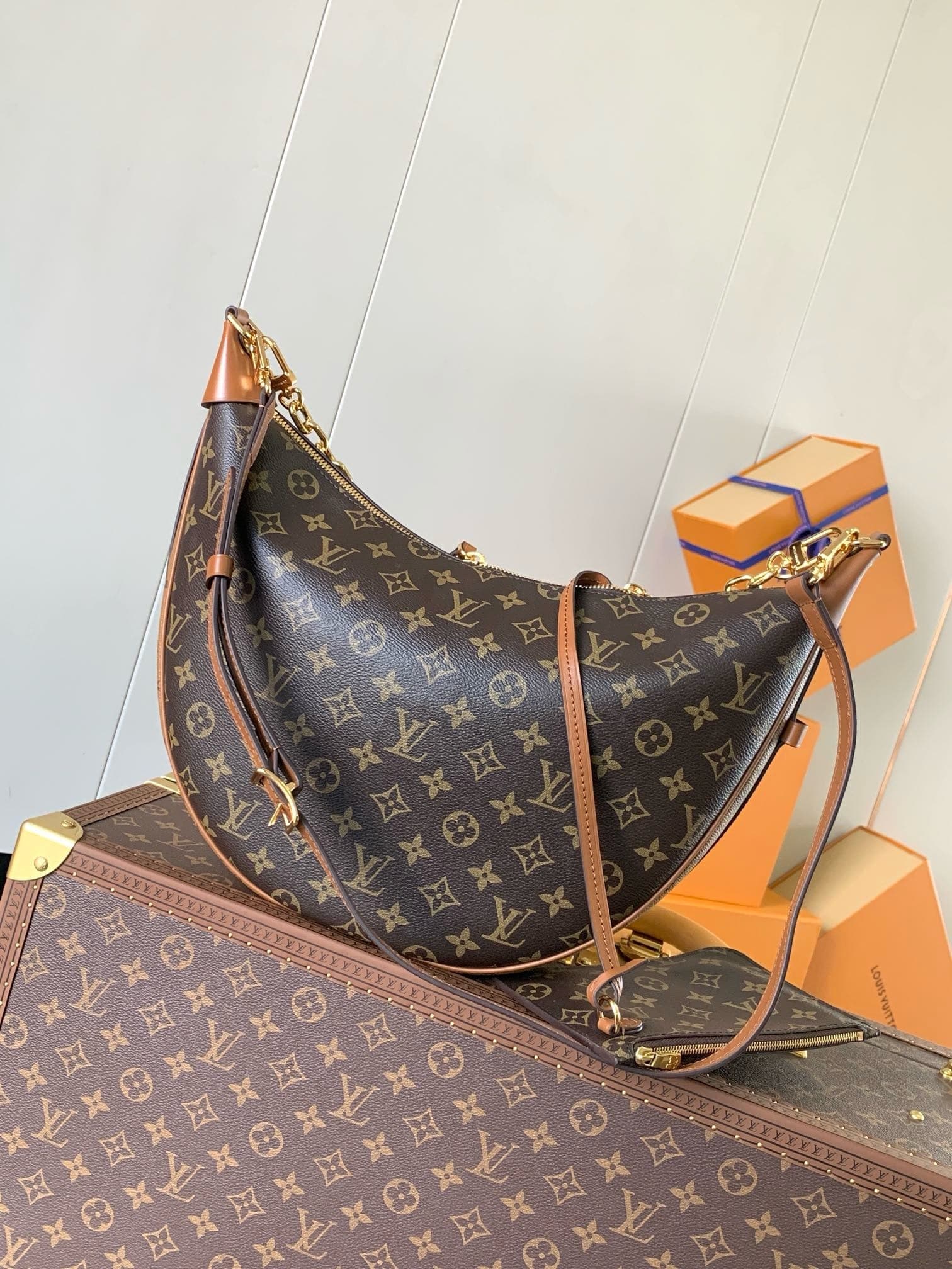 Louis Vuitton Hobo Bag – Brown/Beige