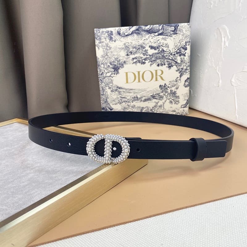 Dior Leather Belt – Black/Silver