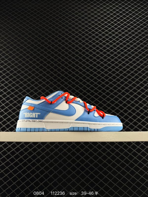 Nike Skateboard Shoes – Blue/White
