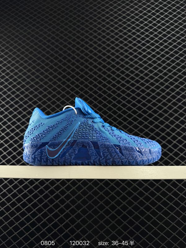 Nike Basketball Shoes – Blue/Black